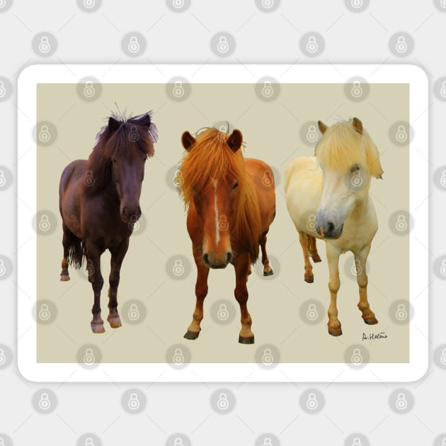 Three Icelandic horses Sticker by AHelene